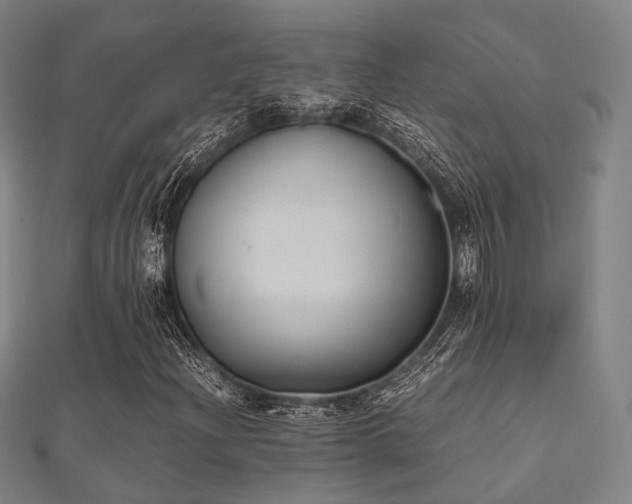 X0000112051204200908111342