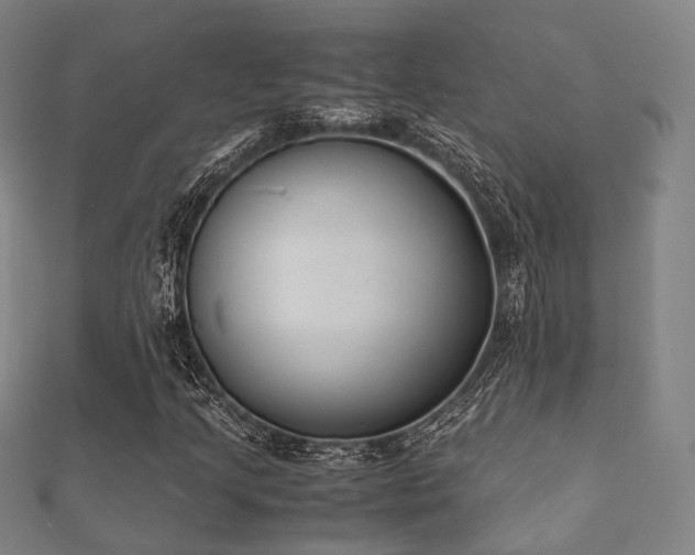 X0000112051205200908111342