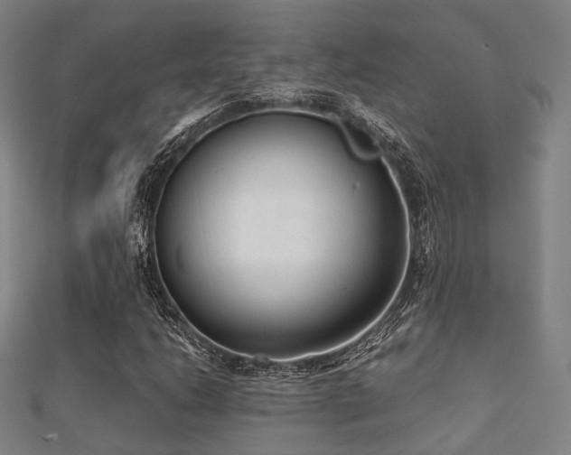 X0000112051206200908111342