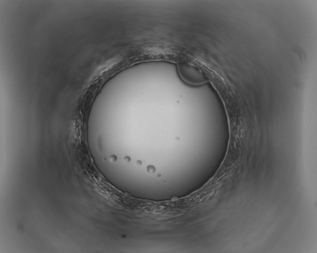 X0000112051207200908111342