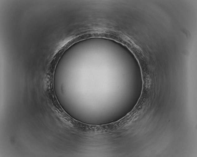 X0000112051208200908111342