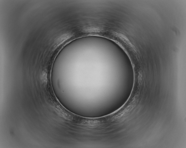 X0000112051209200908111342