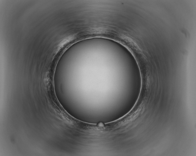 X0000112051210200908111342