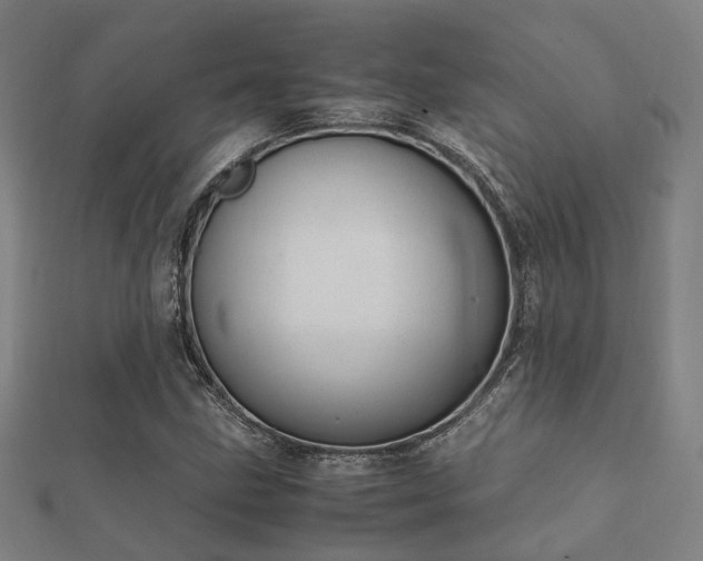 X0000112051211200908111342