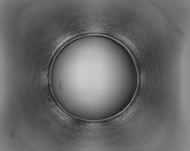 X0000112051212200908111342