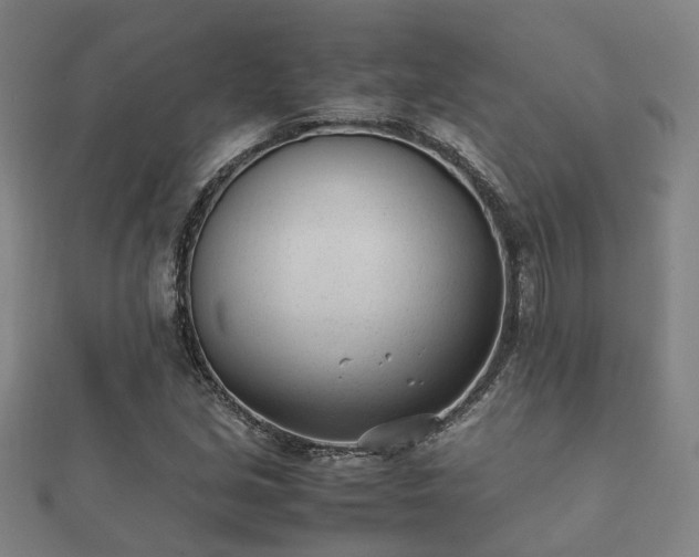 X0000112051213200908111342