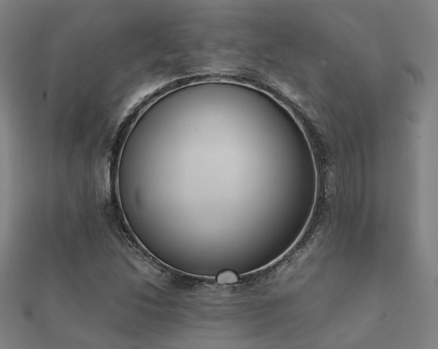 X0000112051214200908111342