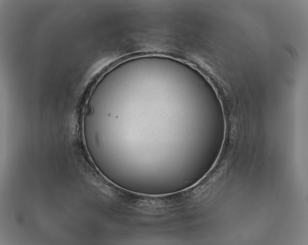 X0000112051215200908111342