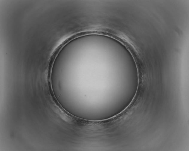 X0000112051216200908111342