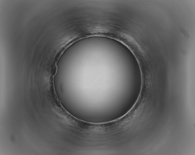 X0000112051217200908111342