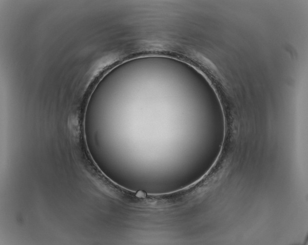 X0000112051218200908111342