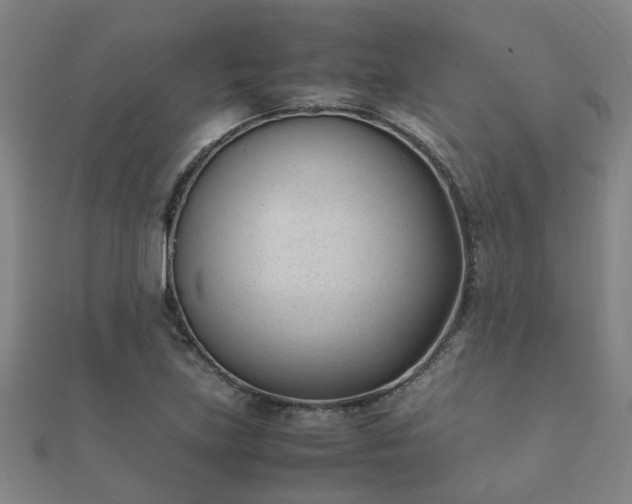 X0000112051219200908111342