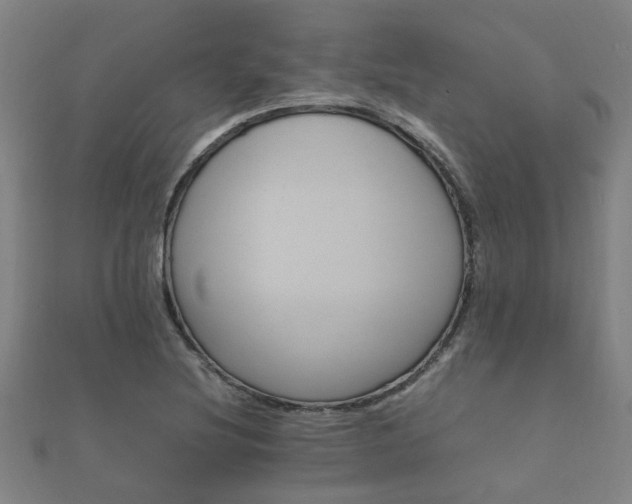 X0000112051220200908111342