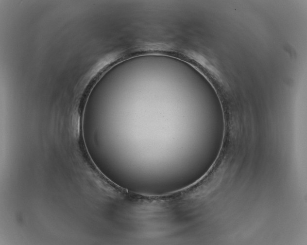 X0000112051221200908111342