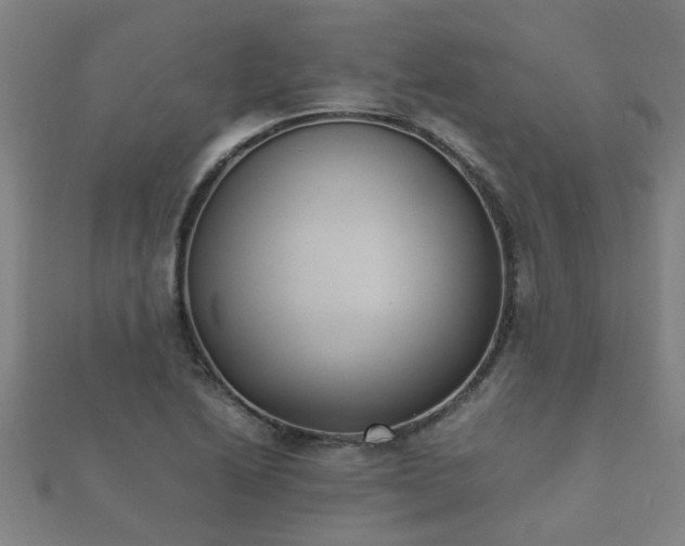 X0000112051222200908111342