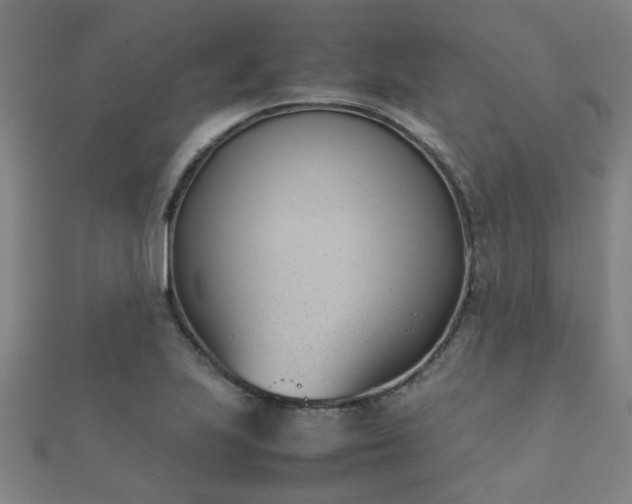 X0000112051223200908111342