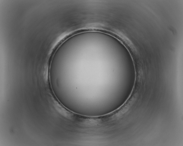 X0000112051224200908111342