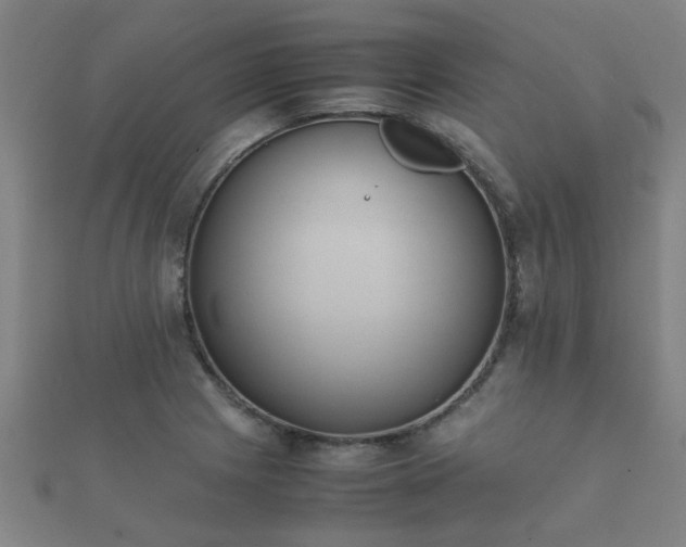 X0000112051225200908111342