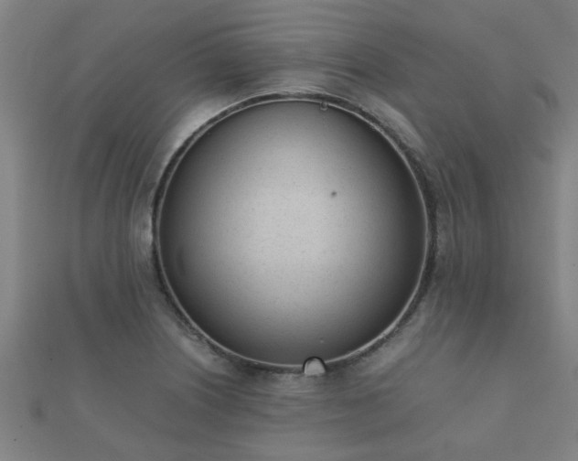 X0000112051226200908111342