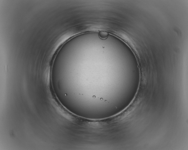 X0000112051227200908111342