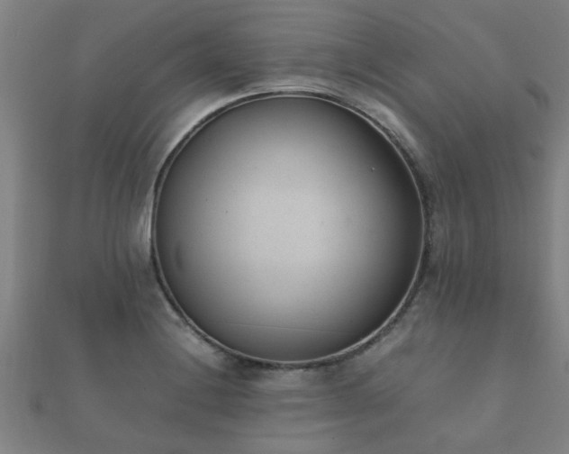 X0000112051228200908111342