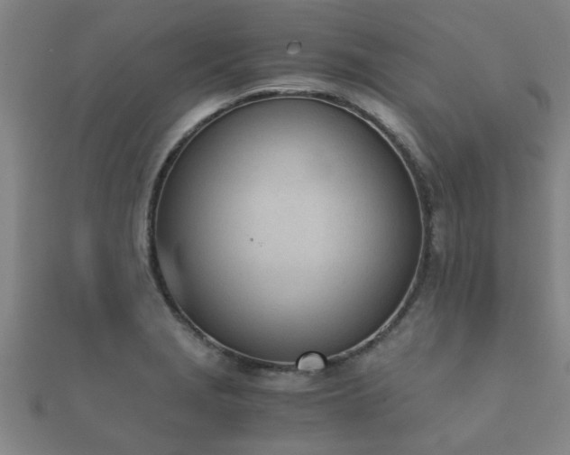 X0000112051229200908111342