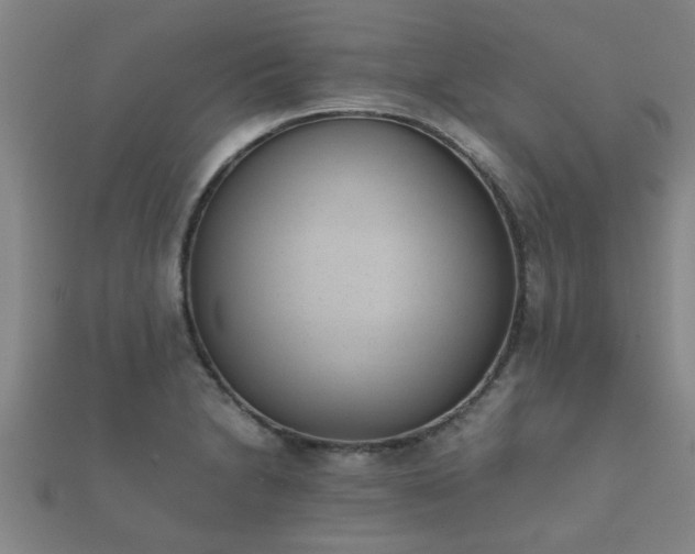 X0000112051230200908111342