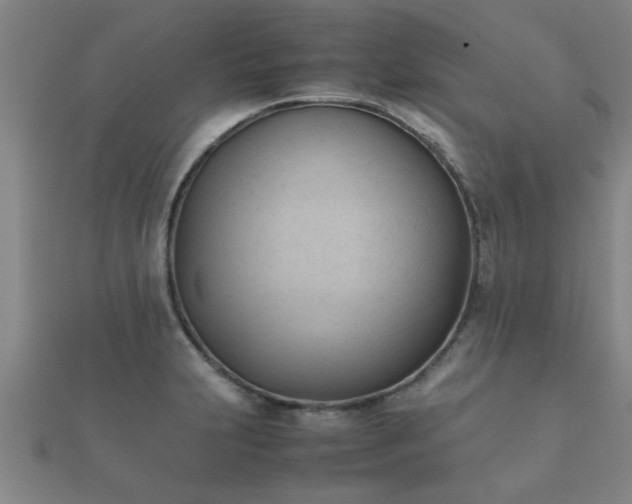 X0000112051231200908111342