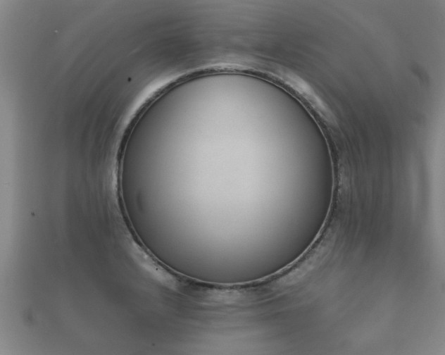 X0000112051232200908111342