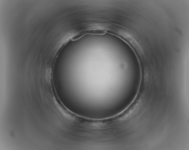 X0000112051233200908111342