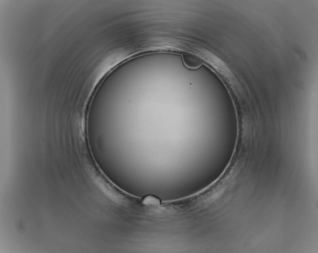 X0000112051234200908111342