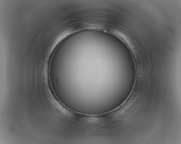 X0000112051235200908111342