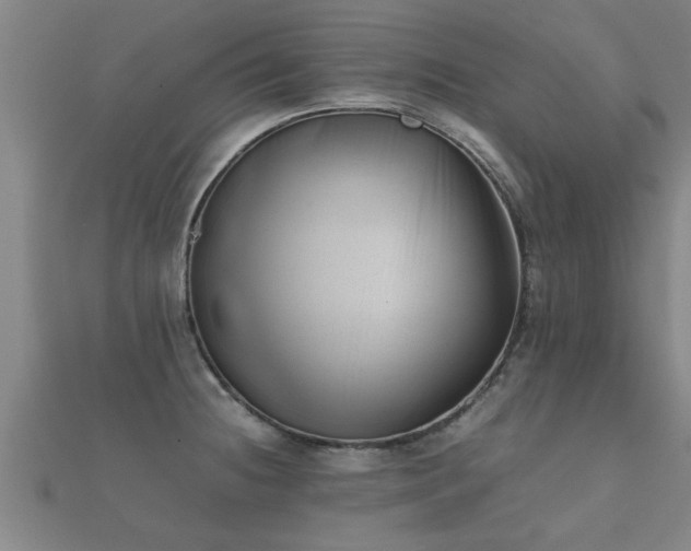 X0000112051236200908111343