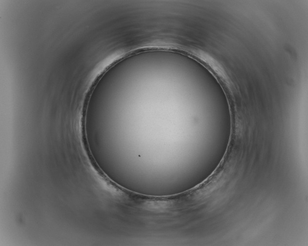 X0000112051237200908111343