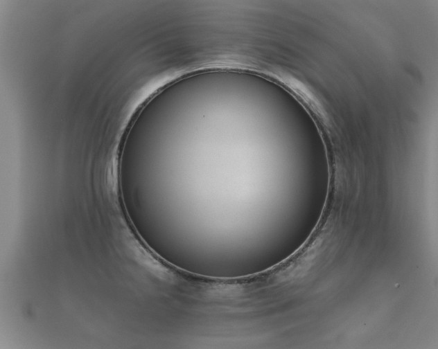 X0000112051238200908111343