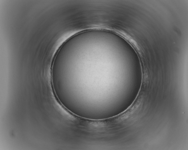 X0000112051239200908111343