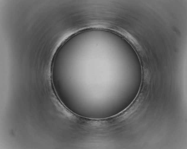 X0000112051240200908111343