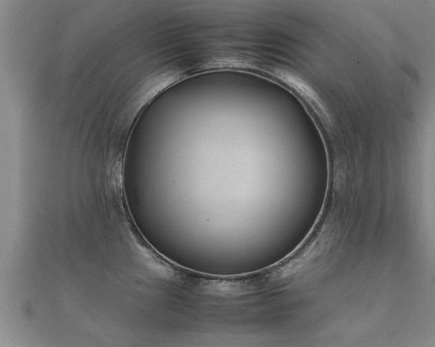 X0000112051241200908111343