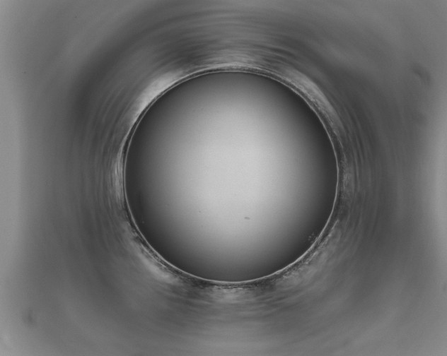 X0000112051242200908111343