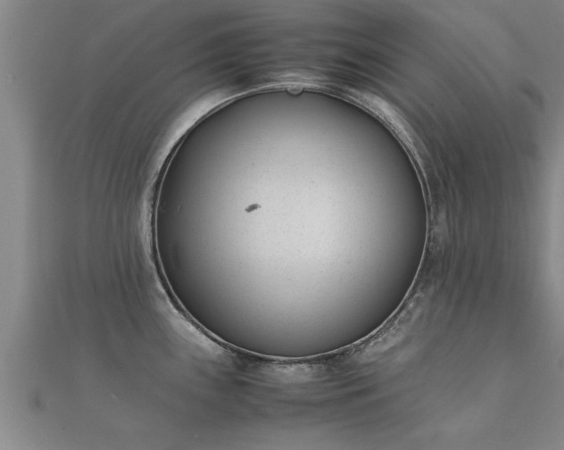 X0000112051243200908111343