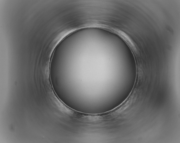 X0000112051244200908111343