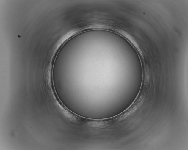 X0000112051245200908111343