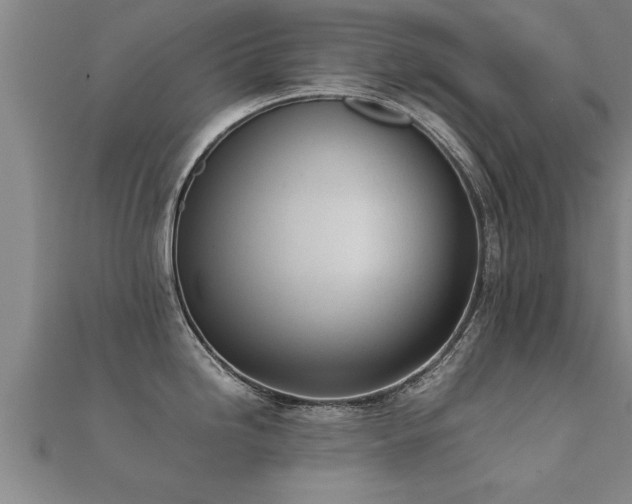 X0000112051246200908111343