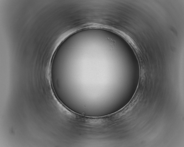 X0000112051247200908111343