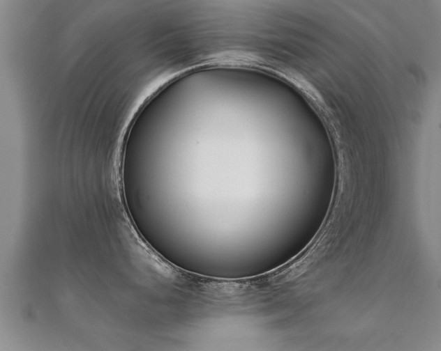 X0000112051248200908111343