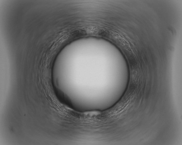 X0000112051249200908111342