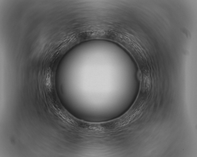 X0000112051250200908111342