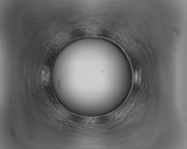 X0000112051251200908111342