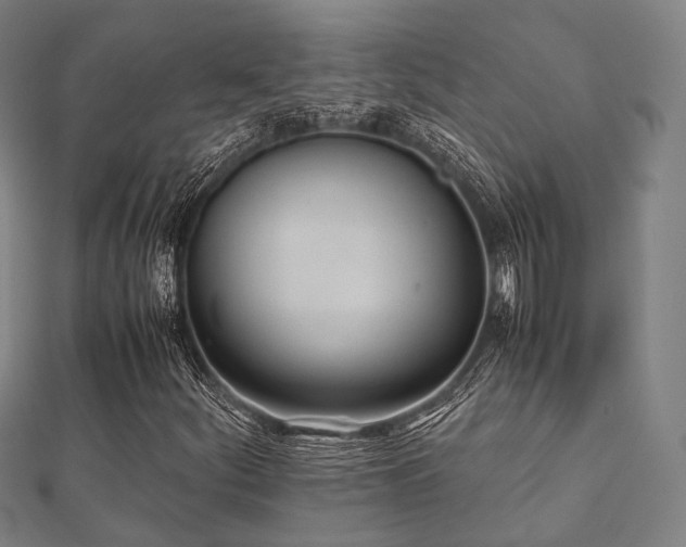 X0000112051252200908111342