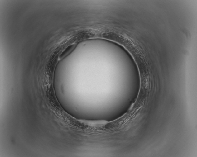 X0000112051253200908111342